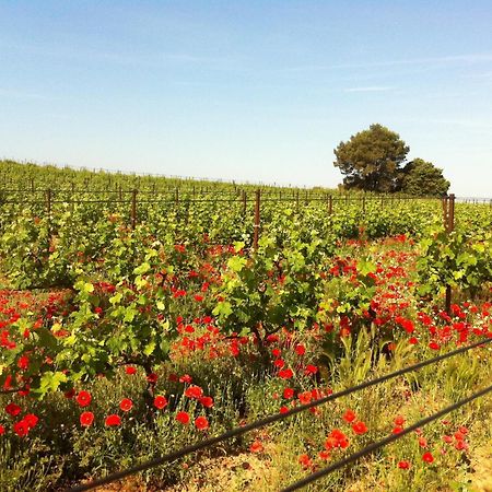 Maison De Margot Peyriac-Minervois Экстерьер фото
