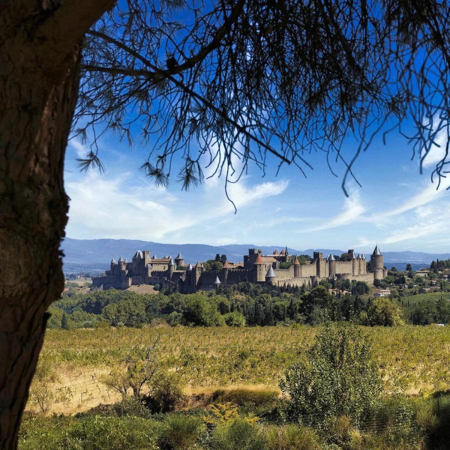 Maison De Margot Peyriac-Minervois Экстерьер фото