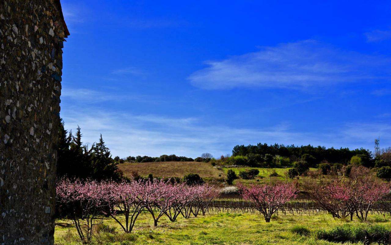 Maison De Margot Peyriac-Minervois Экстерьер фото