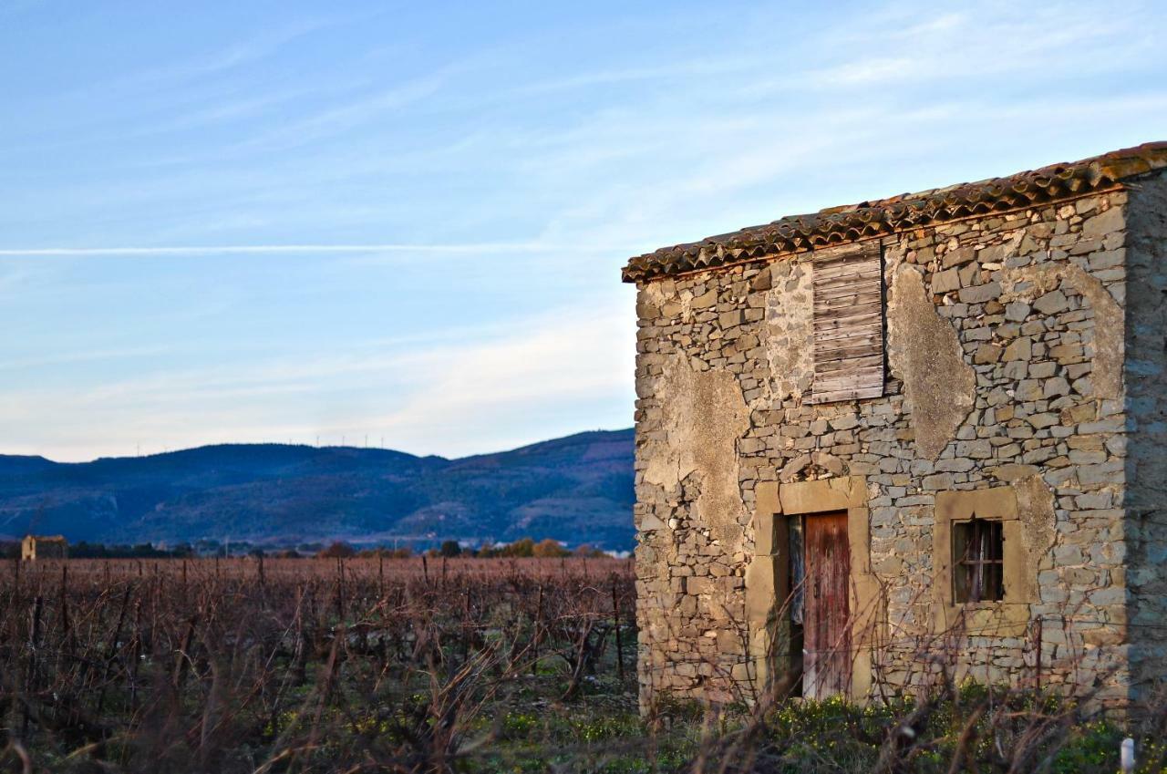 Maison De Margot Peyriac-Minervois Экстерьер фото